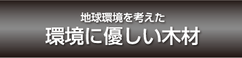 ［ツーバイフォー住宅］耐震・耐風性能