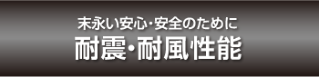［ツーバイフォー住宅］耐雪性能