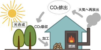CO2排出サイクル