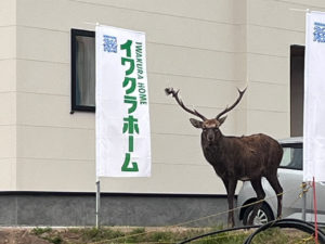 【ある日の一コマ】室蘭市八丁平モデルハウスにご来場いただいたのは……?